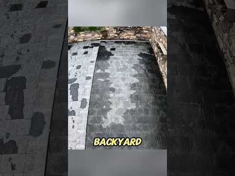 اتجاه الطيور