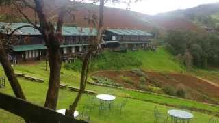 Destiny Farm Stay @ Avalanche, Ooty