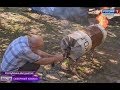 Изобретатель из Ингушетии собрал уникальную тепловую пушку