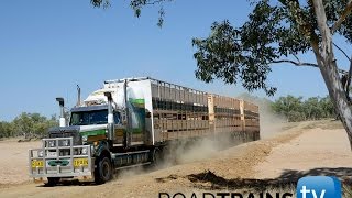 Extreme Truckers 650 horsepower 130 ton cattle train