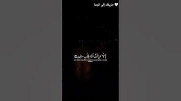 تلاوة خاشعة تلامس القلب ❤️