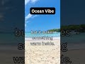 Relaxing Travel Ambience • Rain, Ocean &amp; Nature Sounds for Sleep, Focus &amp; Calm