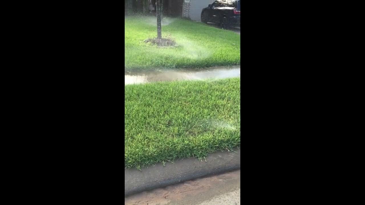Low Sprinkler Head Problems YouTube