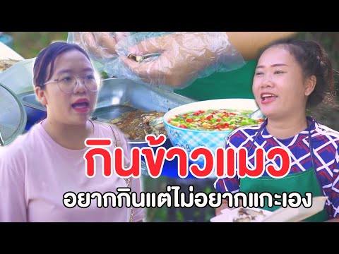 กินข้าวแมว เมนูง่ายแต่ไม่อยากแกะ หนังสั้น