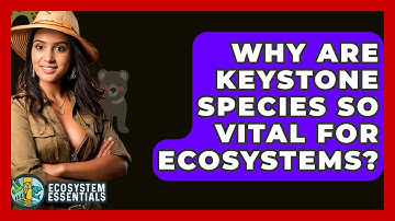 Why Are Keystone Species So Vital For Ecosystems? - Ecosystem Essentials