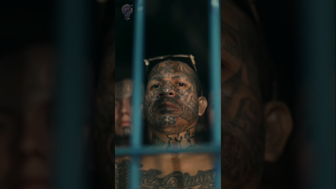 Băng Đảng Nguy Hiểm Bị Đưa Vào Siêu Nhà Tù CECOT