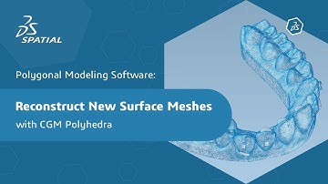 Polygonal Modeling Software: Reconstruct New Surface Meshes with CGM Polyhedra