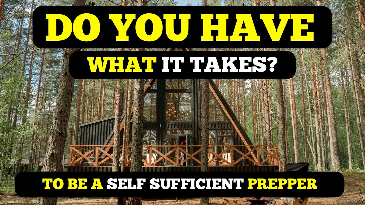 View of How to Live Off the Grid with no Money: A Beginner's Guide (2024)