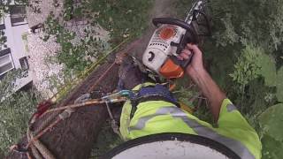 DTC- More Than One Way to Remove a Tree