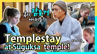 Templestay at Suguksa temple!