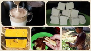 Vlog - Day In My Life / Making Homemade Spongy Paneer / Treasure Finding Challenge with Nehan