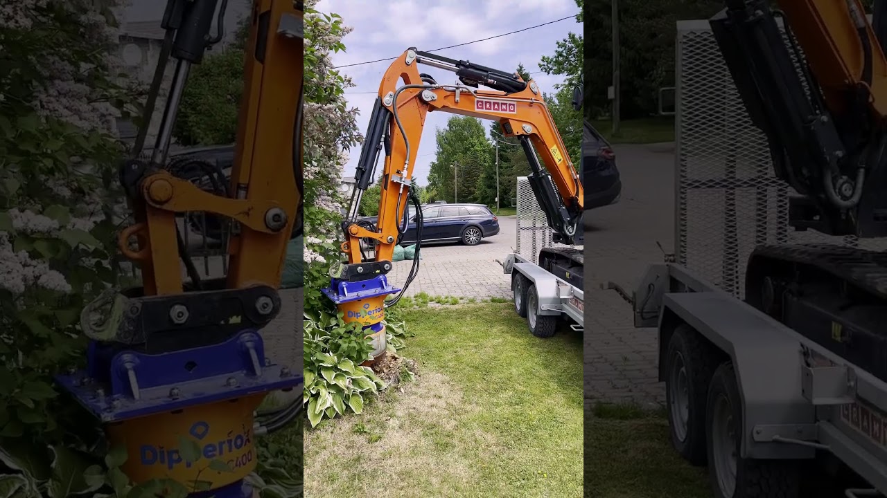 Removing a rowan tree stump