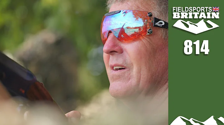 Fieldsports Britain – Pigeon shooting scorcher