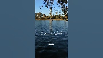 سورة يس #قران_كريم آيات قصيرة من القرآن حالات واتس آب #المصحف #اكسبلور #حالات_واتس #kuran