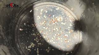 Rice & Coffee Bean Color Sorting Machine | High Precision Optical Sorter