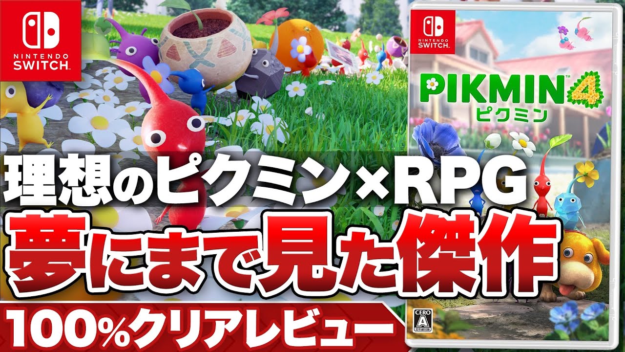 スーパーマリオRPG ピクミン4 714QKPSKe4L._UF350,350_QL80_.jpg