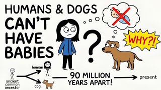 Why Can't Humans and Dogs Have Babies?