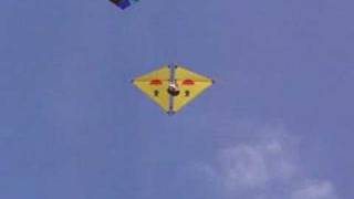 Teddy Bears parachute from a kite screenshot 4