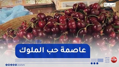 تلمسان / عاصمة حب الملوك .. موسم الوفرة والمذاق الرفيع