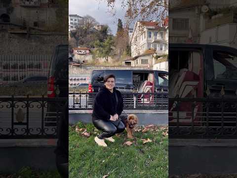 الجلب عورني في طيبة قلبي شهاب ملح فخر الرجال اسد العرب العراق ايران