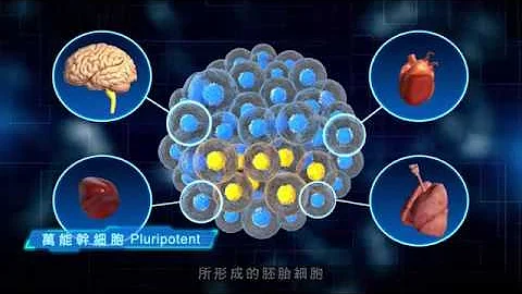 無限可能的起點 細胞治療(幹細胞)-中國附醫 - 天天要聞
