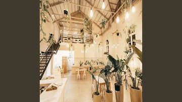 Wonderful Ambiance for Afternoon Java