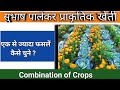 मिश्रित खेती में फसलों का चुनाव कैसे करें ? | Mixed Farming | Subhash Palekar Natural Farming