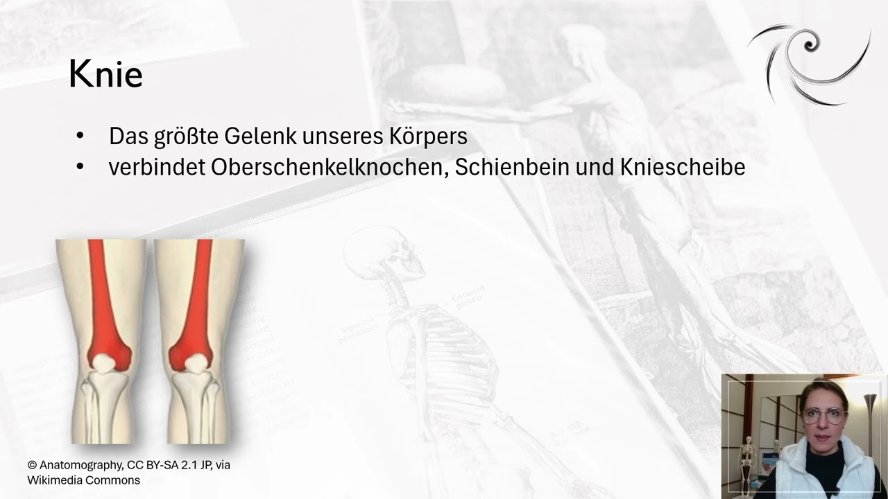 Untere Extremitäten unter der Lupe: Füße und Stabilität durch Weichheit