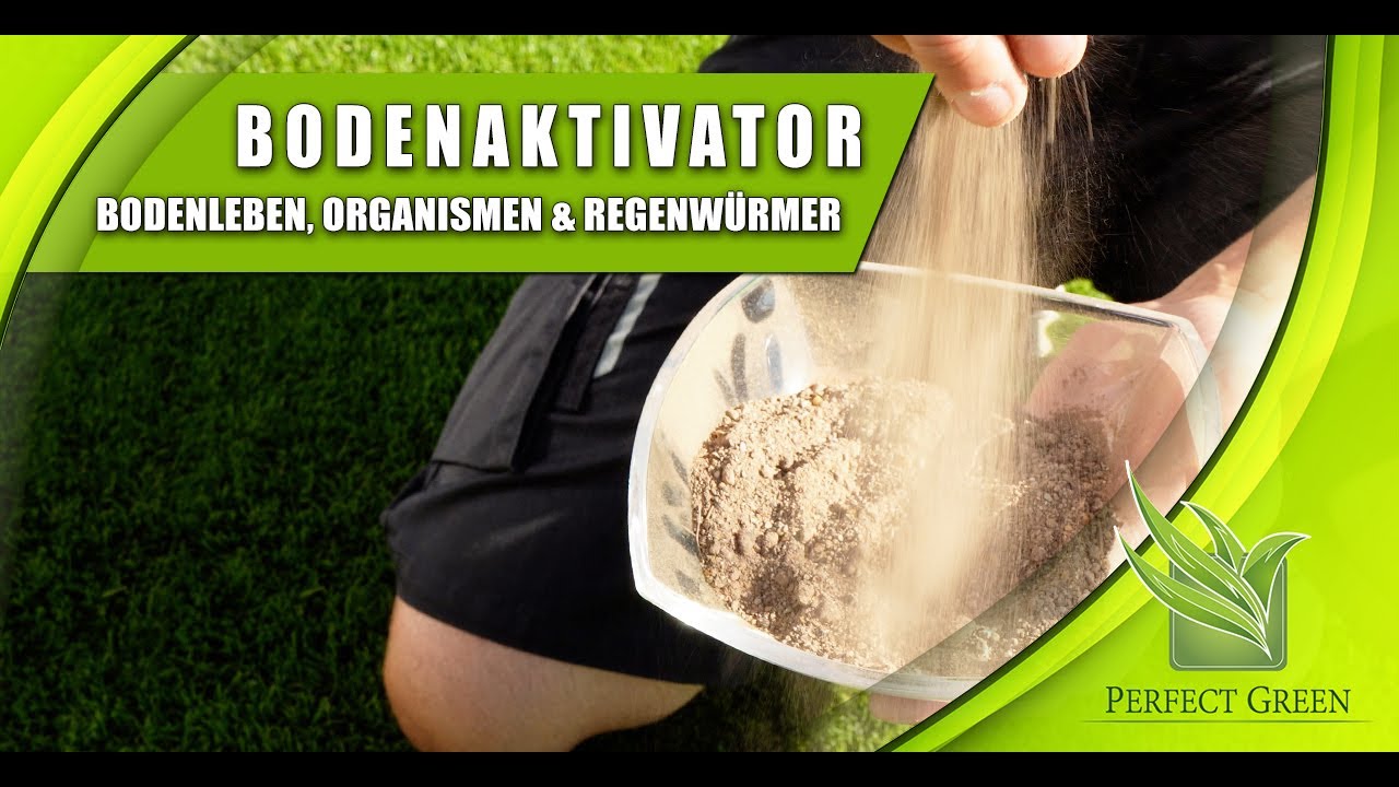 Bodenaktivator fr einen gesunden Rasen - perfectgreen.de