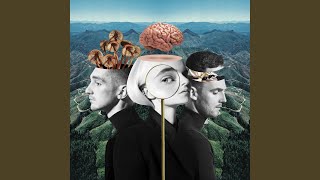 Download Lagu Should've Known Better (feat. Anne-Marie)