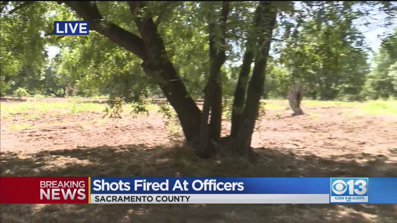 Shots Fired At Officers - YouTube