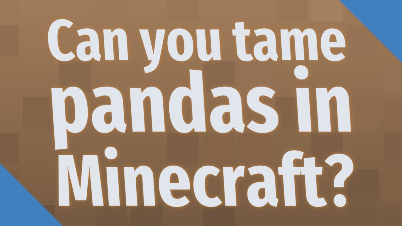Can you tame pandas in Minecraft? - YouTube