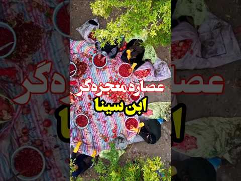 ابن سینا راجع به انار چی می گه انار ابن سینا طب طب سنتی طب ایرانی کردستان ساوه شیراز ایران