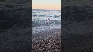 Akşam Deniz Çok Dalgaliydi Resimi