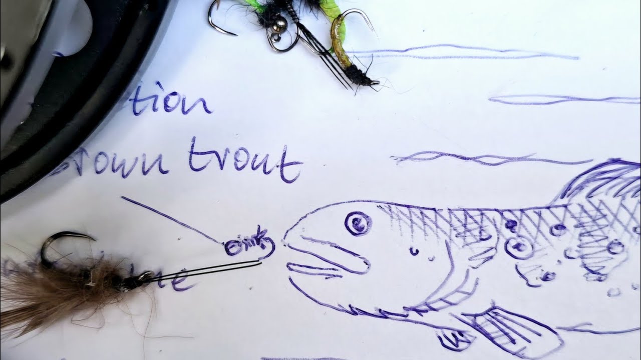 Wild Brown Trout and Grayling Fishing in Transylvania (Spotting an Ultra Rare Species)