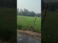 #army #lover #motivation #viral #tranding