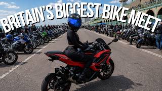 I Came Here With A Friend. I Lost Them In Minutes... | Kawasaki Ninja 500 SE