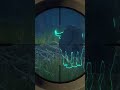 KANDIRDIM #shortvideo #shorts #thehuntercallofthewild #thehunter #hunting #gameplay