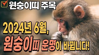 원숭이띠 주목! 2024년 6월, 원숭이띠 운명이 바뀝니다! 원숭이띠를 위한 충격적인 운세 대공개 [운곡스님…