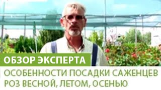 видео Разведопрос: Михаил Васильевич Попов о науке логике как системе