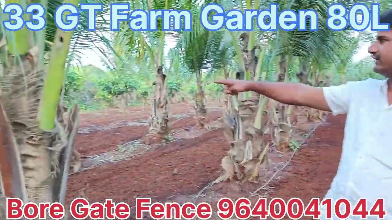 అతి తక్కువ లో భూమి అమ్మకానికి ఉంది హైదరాబాద్ దగ్గర హైవే అనుకోని ఇన్వెస్ట్మెంట్ అగ్రికల్చర్9640041044