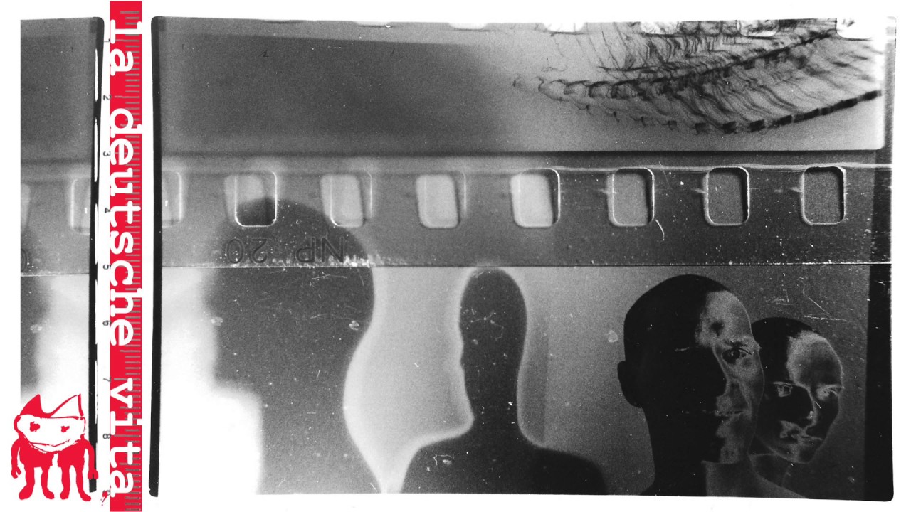 la deutsche vita – johanniskäfer