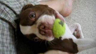 MVI_3939.AVI