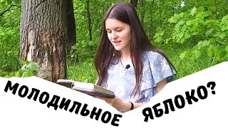 Возможно ли жить вечно? Существует ли молодильное яблочко?