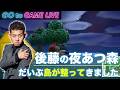 【後藤の夜あつ森】どんな島になっていくか楽しみです