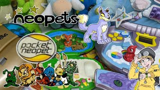 Pocket Neopet Gameplay and Review | The Neopets Virtual Pet screenshot 5