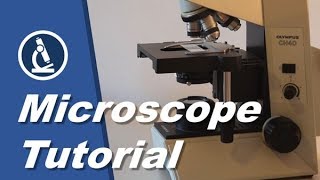 🔬 001 - How do you use a microscope?