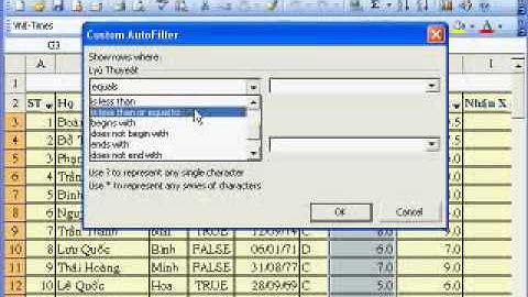 hướng dẫn sử dụng MS Excel 2003 phần 5.mp4