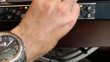 Memory Moog plus moog delay 500 bae rack