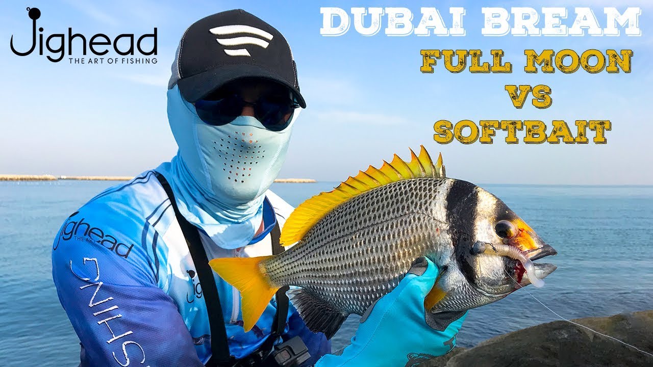 Full Moon Fishing In Dubai Or Lemon Herb Sea Bream YouTube full-moon-fishing-in-dubai-or-lemon-herb-sea-bream-youtube